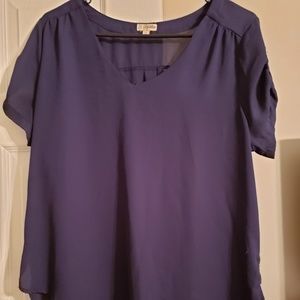 Lilly White Navy Sheer V Neck Blouse